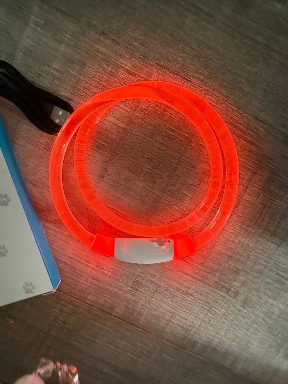 USB Rechargeable LED Dog Collar - White with Orange Accents